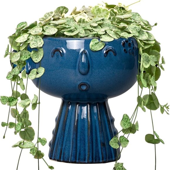 NEW 7 Inch Cute Face Planter for Indoor Outdoor Plants Ceramic Succulent Pot - Picture 2 of 10